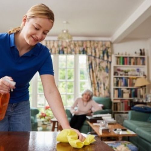 House cleaning and window washing Eustis FL