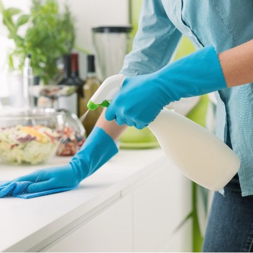 Window washing & home cleaning services Mt Dora FL